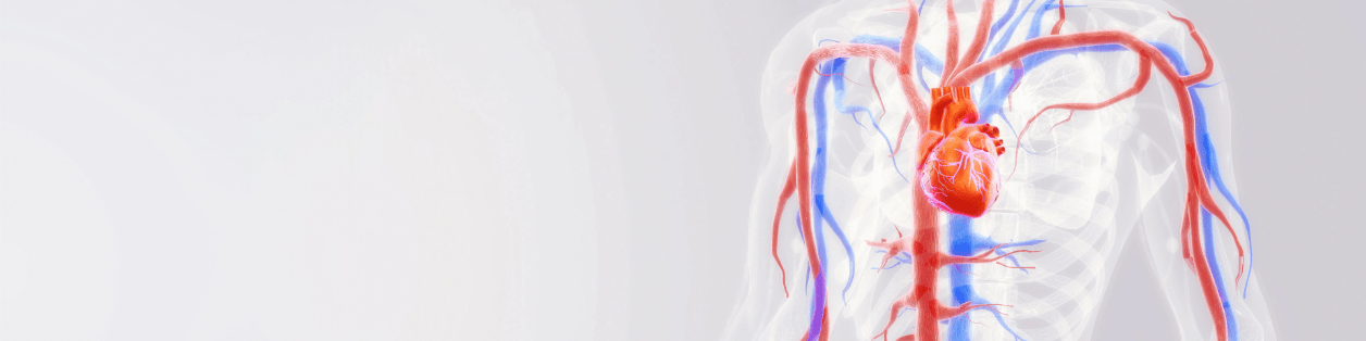 Praxis für Gefäßmedizin an der Klinik Rotes Kreuz